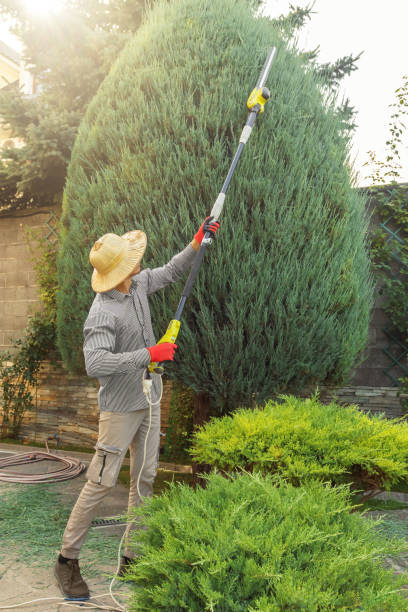 Best Seasonal Cleanup  in Hauser, ID